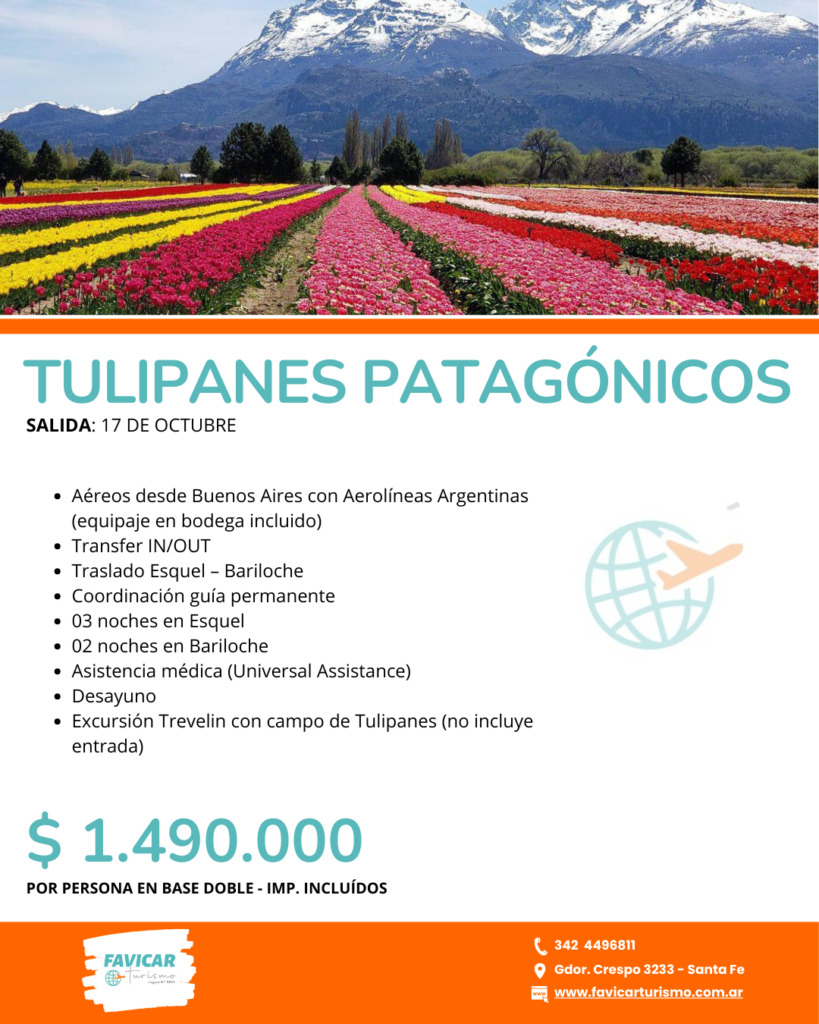 Tulipanes Patagónicos